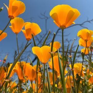 Meet your Posher, Bryanna